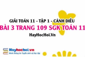 Giải bài 3 trang 109 Toán 11 tập 1 SGK Cánh Diều